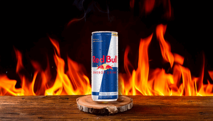 Red bull galinha
